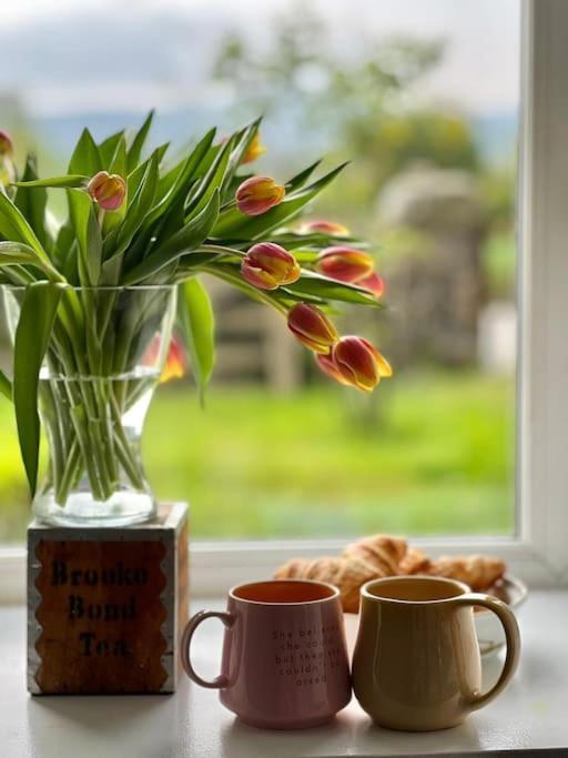 Cosy Country House In Deeside Finzean Zimmer foto